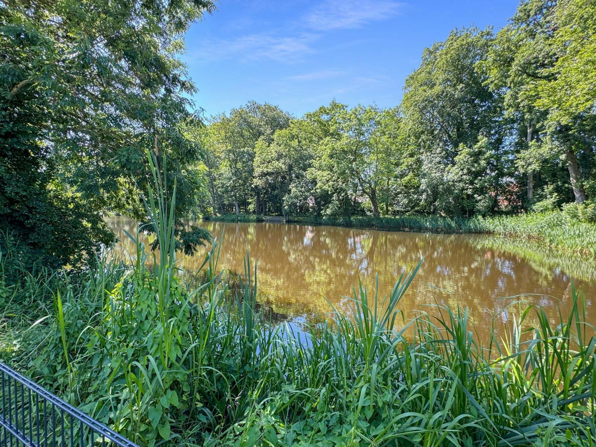Cblue: Seeblick, Kamin, Wallbox, Natur Bentwisch Exterior photo